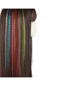 EXTENSIONS PLUMES MIXTE  X10